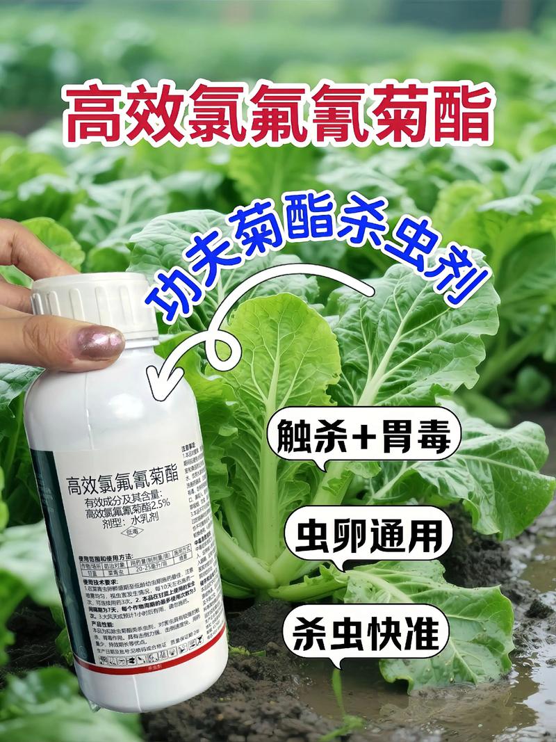 厦门代生中心:农药对供卵代生妈妈的危害